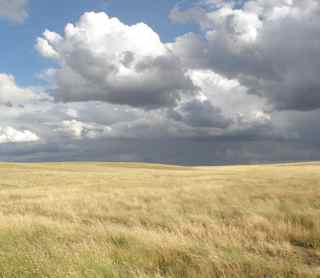 Grasslands