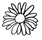 Daisy shape 1