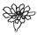 Daisy shape 2
