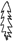 Dissected margin 1