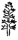 Dissected margin 3