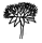 Daisy shape 4