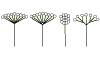 Rounded clusters